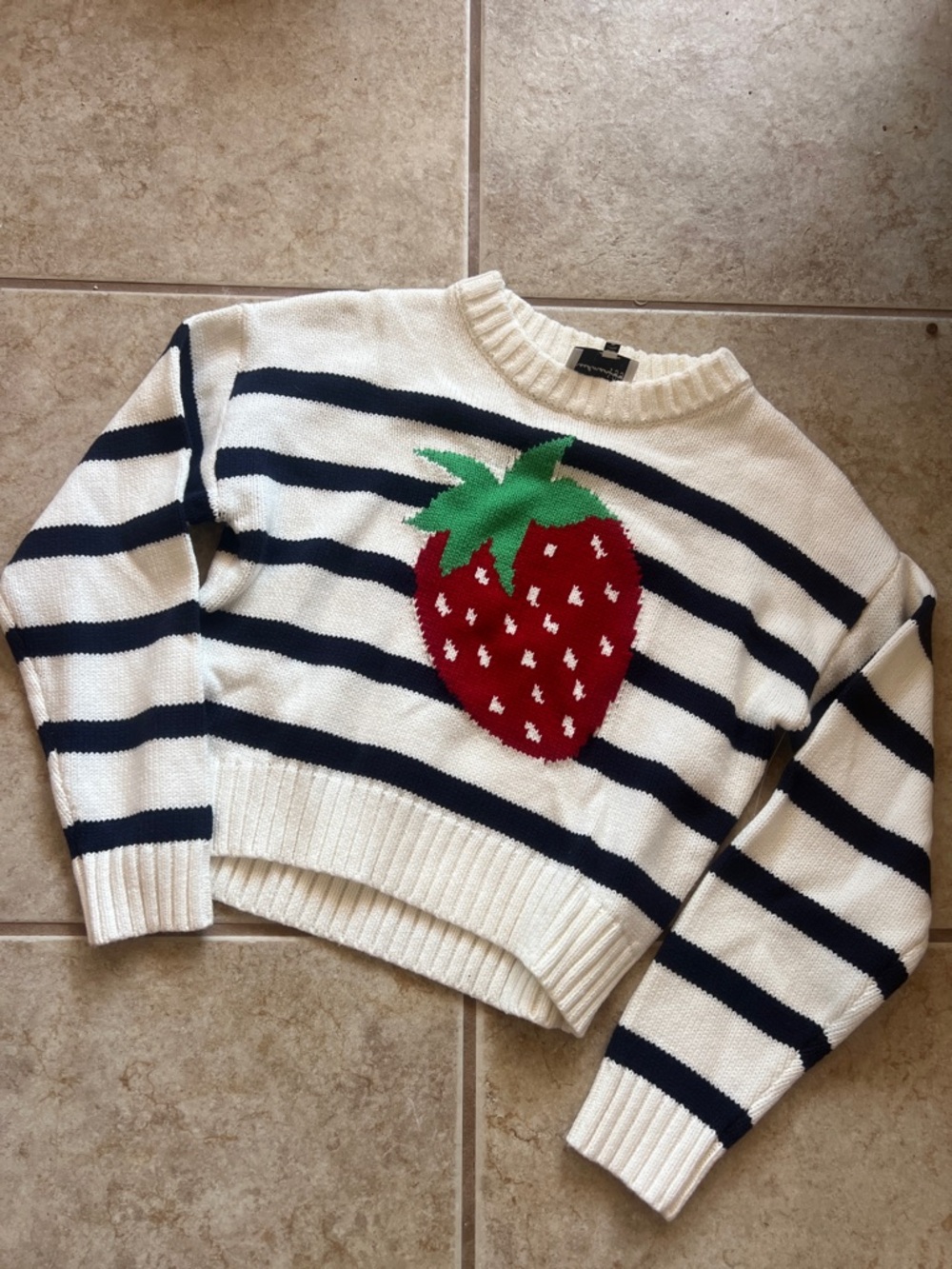 Cream & Navy Striped Crewneck Sweater with Red Strawberry Graphic